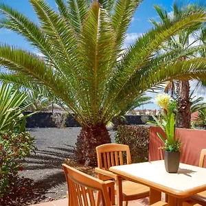 https://blu-gardenia.hotelsfuerteventura.org